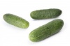 Огурец Кибрия F1 Нидерланды 100 семян