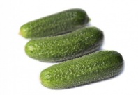 Огурец Трилоджи F1