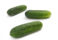 Огурец Шопен F1