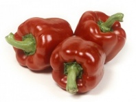 20 Перец Мазурка F1 красный кубовидный Нидерланды 20 семян