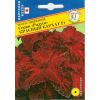 Колеус Радуга Красный бархат F1 10 шт.