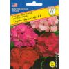 Герань гибридная Буллс Ай F1, 5 шт