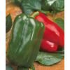 30 Перец Аркано F1 красный кубовидный Япония 30 семян