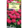 G Астра Зарево 0,3 г, карликовая кармин