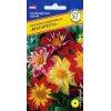Георгина изменчивая Коларетта, 12 шт