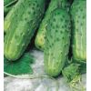 Огурец Засолочный F1 10 + 2 семян