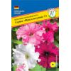 Петуния грандифлора Фриллитуния Смесь F1 10 др.