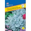 Цинерария морской Серебряная пыль, 100 шт