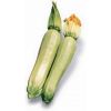 Кабачок Кавили F1 Нидерланды 1.000 семян