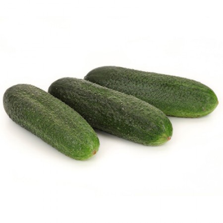 Огурец Маэстоза F1 Нидерланды 100 семян