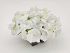 Петуния крупноцветковая Success! HD F1 White