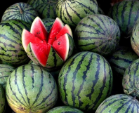 Арбуз Астраханский