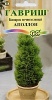 G Кипарис вечнозеленый Аполлон 0,05 г