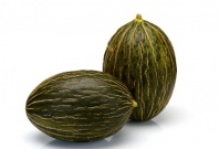 10 Дыня Рикура F1 Нидерланды 10 семян