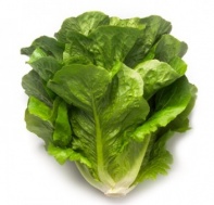 100 Салат Максимус Нидерланды 100 драже