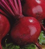 10 Свекла Кардиал F1 фракция (3,6-4,0) (720 семян) Япония 10 грамм