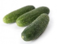 Огурец Чайковский F1 Огурец Чайковский F1