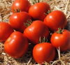 Томат Мамако F1