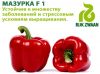 Перец Мазурка F1