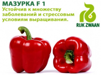 Перец Мазурка F1