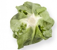 Салат Максимус Нидерланды 1.000 драже