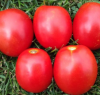 Томат Хантер F1