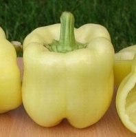 20 Перец Беладонна F1 белый кубовидный Нидерланды 20 семян