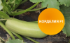 Кабачок Корделия F1