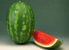Арбуз Фарао F1