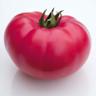 Томат Каншин F1