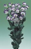 Эустома, лизиантус крупноцветковый серия Вулкан Vulcan II F1 Purple Picotee pelleted Хупта 455579852 20 др.