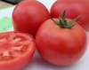 Томат Гвадалквивер F1