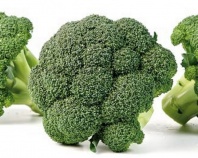 Капуста Тритон F1 брокколи Япония 2.500 семян