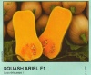 Тыква Ариэль F1