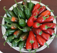 Перец Сонора F1