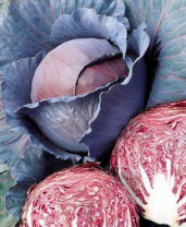 Капуста Ред Династи F1