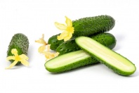 Огурец Киборг  F1