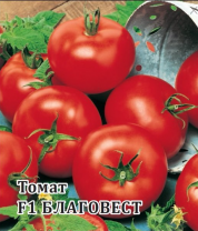 Томат Благовест F1 Минифермера упаковка 100 семян.