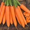 Морковь Сиркана F1