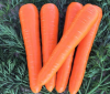 Морковь Вак-70 F1