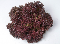 Салат Леа Салат Леа