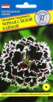Гвоздика геддевига Черная с белой каймой 15 шт.