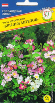 Роза китайская Крылья Ангелов, 20 шт