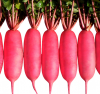 Дайкон красный Шай F1