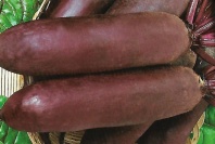 10 Свекла Родена F1 Япония 10 грамм 10 Свекла Родена F1 Япония 10 грамм