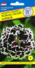 Гвоздика геддевига Черная с белой каймой 15 шт.