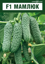 Огурец Мамлюк F1